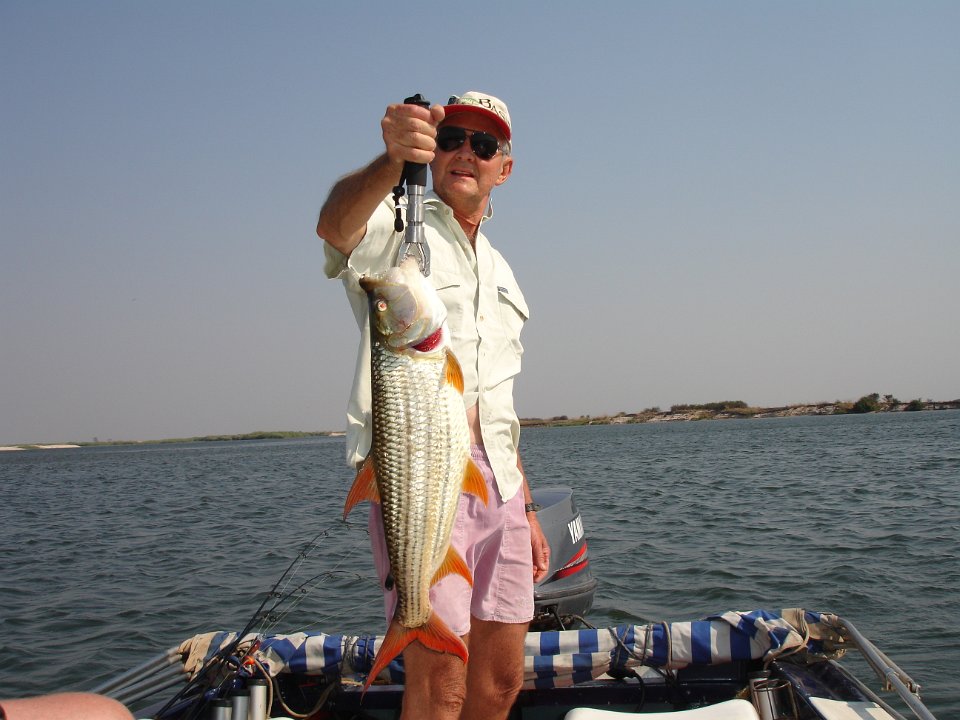 Catching Tigerfish at the Zambezi - Bushguide 101